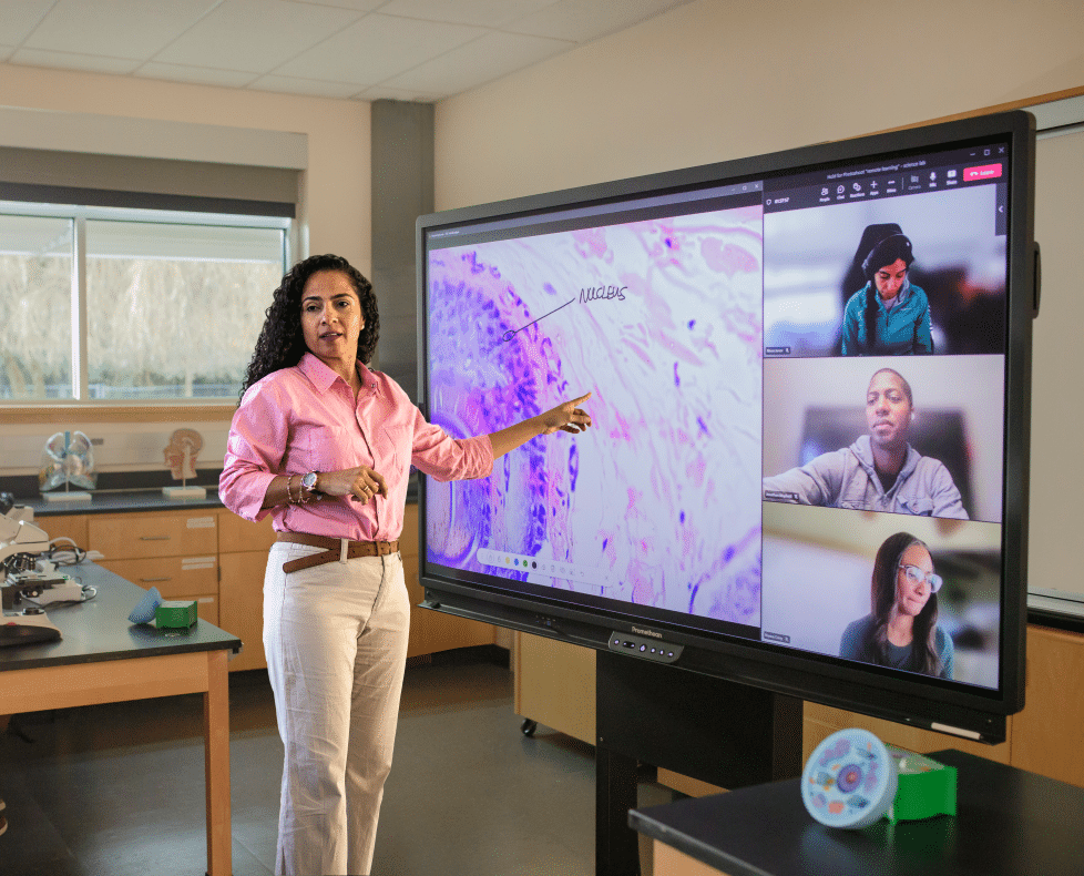 Paneles interactivos que apuestan por la conectividad