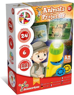 proyector
