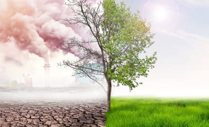 Juegos para concienciar sobre el cambio climático
