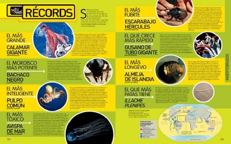 aprender los animales