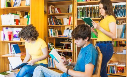 organización de bibliotecas escolares