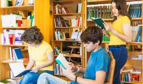 organización de bibliotecas escolares