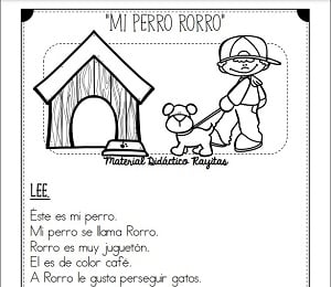 fichas para repasar la lectura