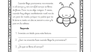 fichas para repasar la lectura