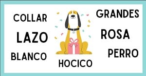 fichas para repasar la lectura