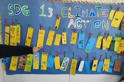 Proyecto gamificación Primaria