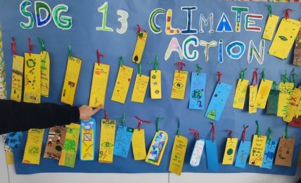Proyecto gamificación Primaria