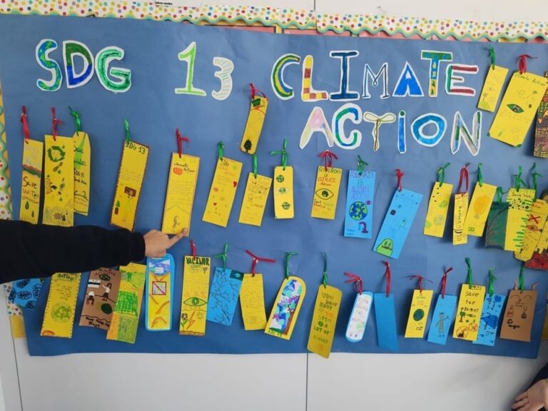 Proyecto gamificación Primaria