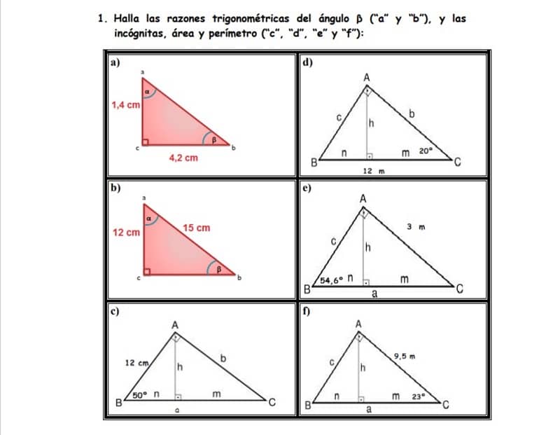 Fichas Descargables Trigonometría