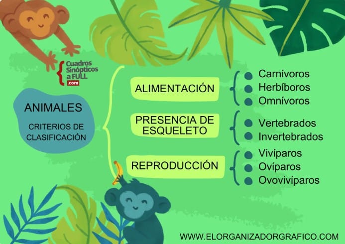 cuadros sinópticos
