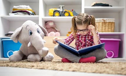 Libros sobre juguetes