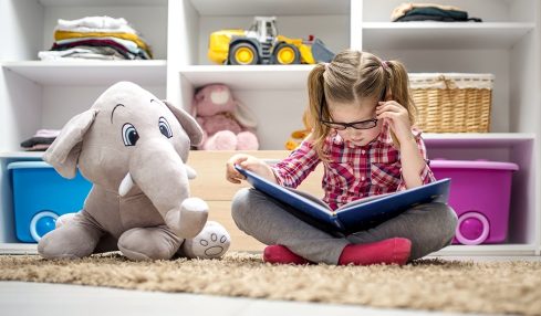 Libros sobre juguetes