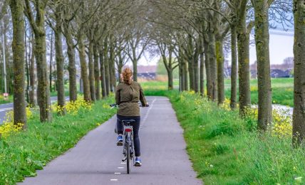vias verdes españa montar en bicicleta