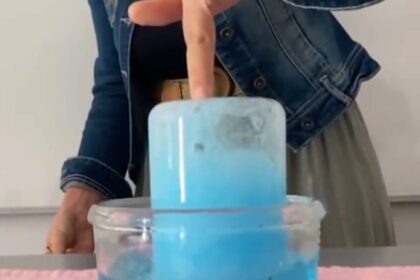 Experimentos científicos