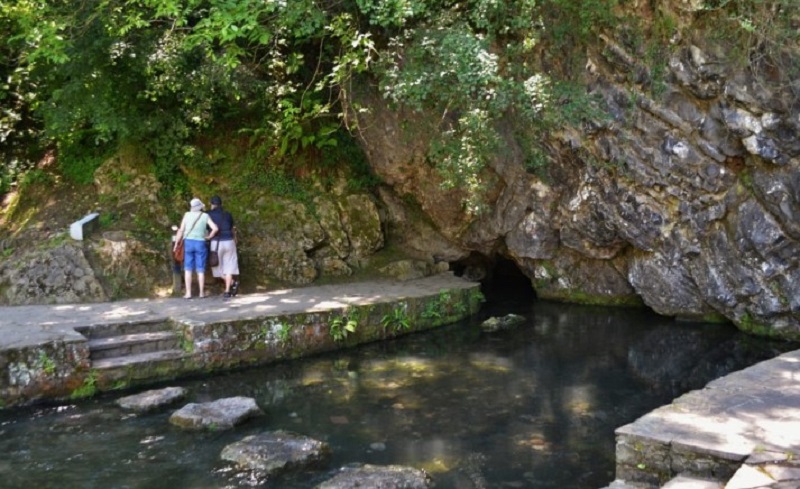 Los Mejores Sitios Para Hacer Un Picnic