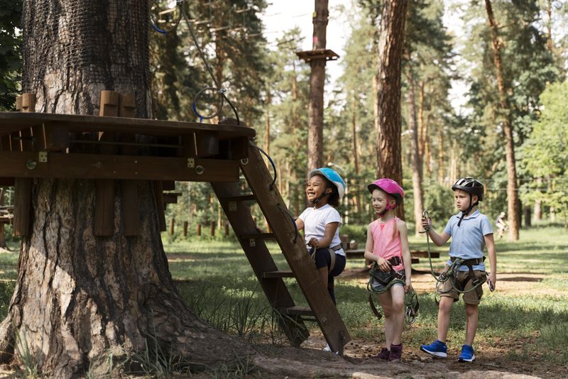 beneficios actividades extraescolares y campamentos