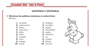 Fichas sinónimos y antónimos