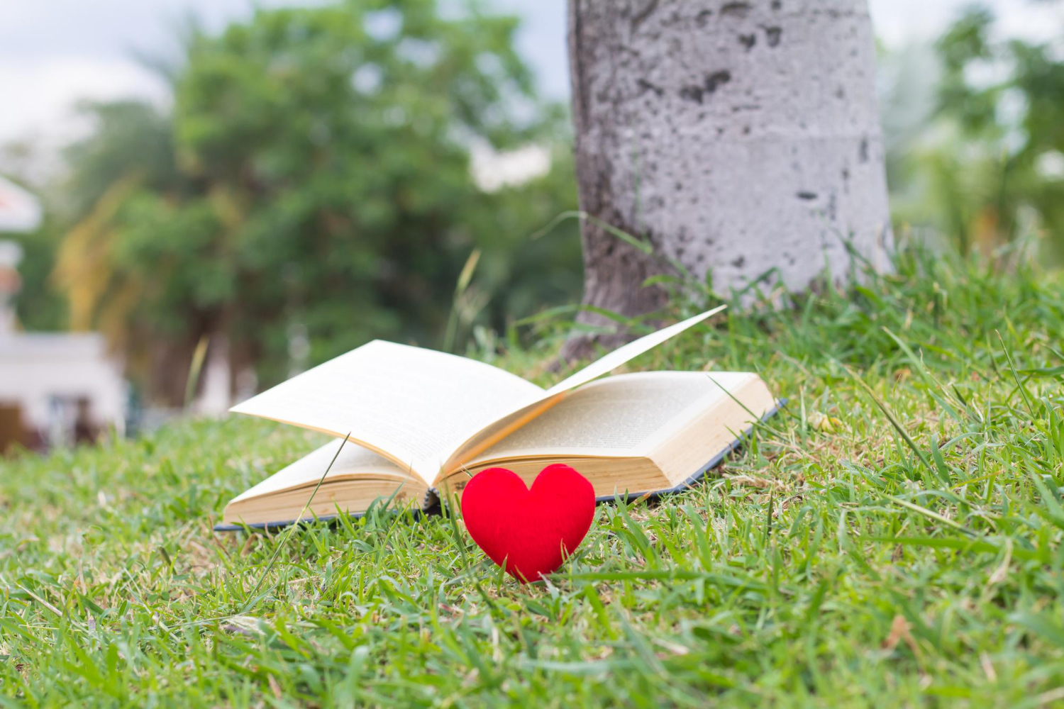 Libros para aprender a amar y respetar la naturaleza