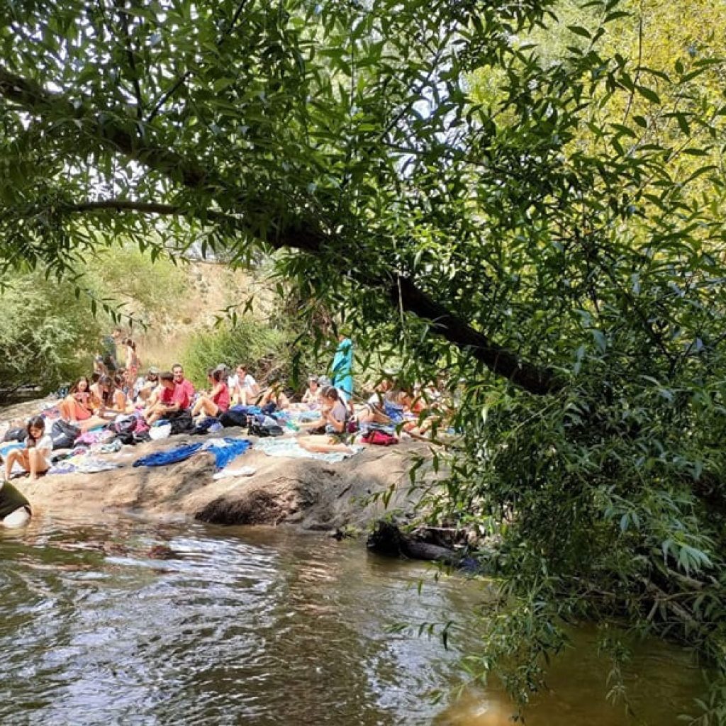 Campamentos verano 2025 