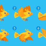 Fichas secuencias temporales