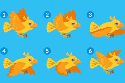 Fichas secuencias temporales