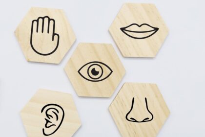 trabajar los cinco sentidos en Educación Infantil