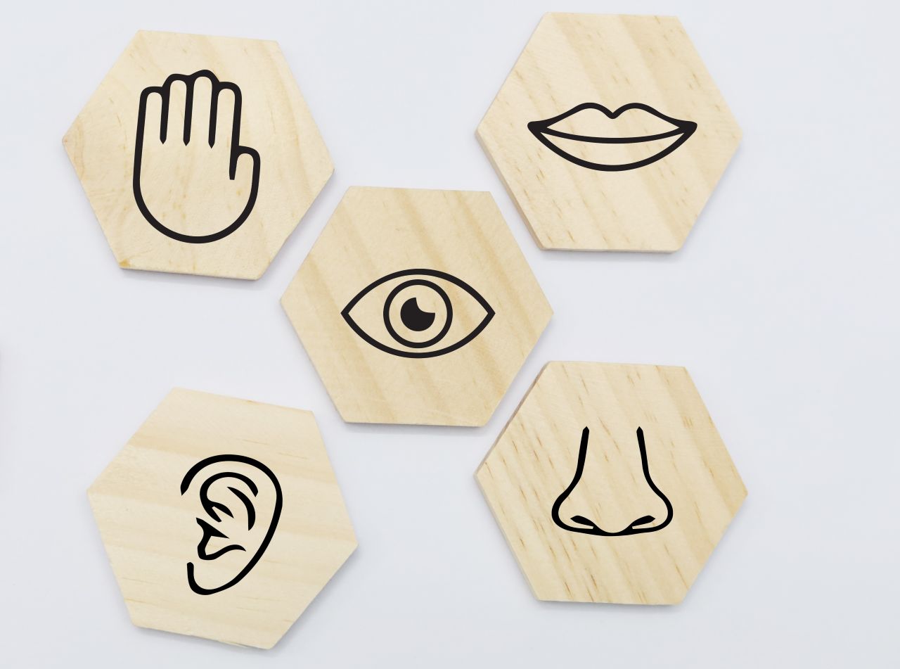 trabajar los cinco sentidos en Educación Infantil