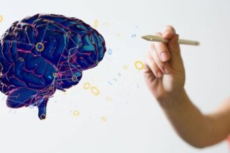 Neuroeducación
