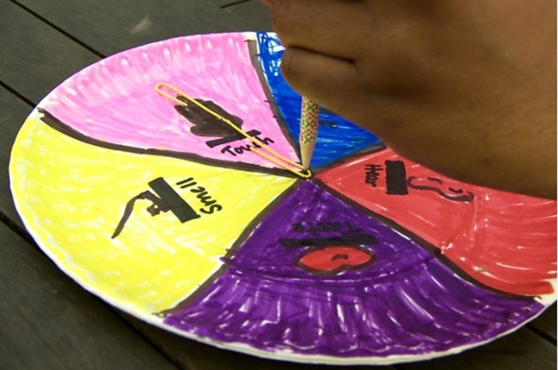 ruleta de los sentidos