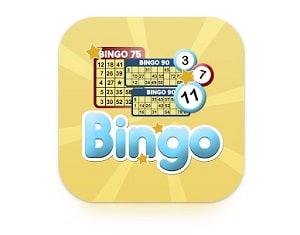 hacer un bingo casero