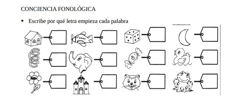 Fichas de evaluación inicial de lengua

