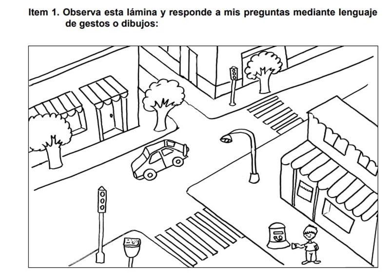 Fichas de evaluación inicial de lengua

