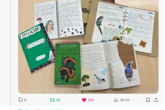 Motivar la lectura