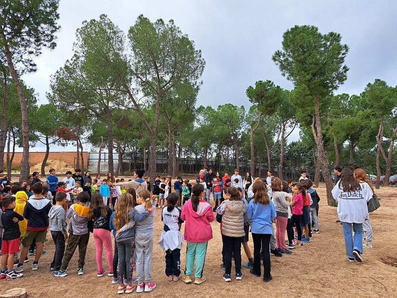  actividades intercurso