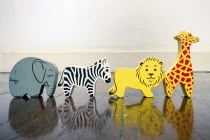 animales mamíferos en el aula