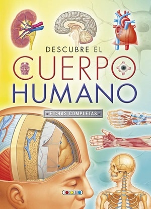 Fichas para trabajar el cuerpo humano