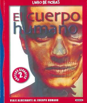 Fichas para trabajar el cuerpo humano