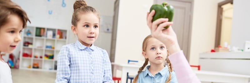 concursos escolares Hábitos saludables
