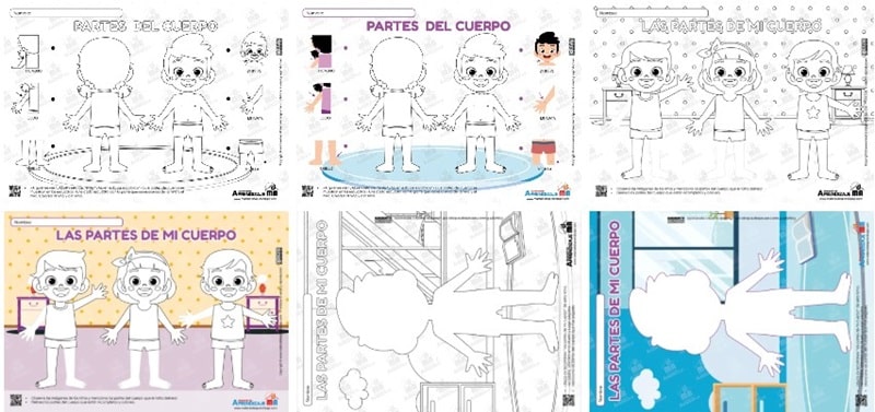 Fichas para trabajar el cuerpo humano