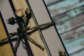 Estudiar el Holocausto en el aula a través de estos libros