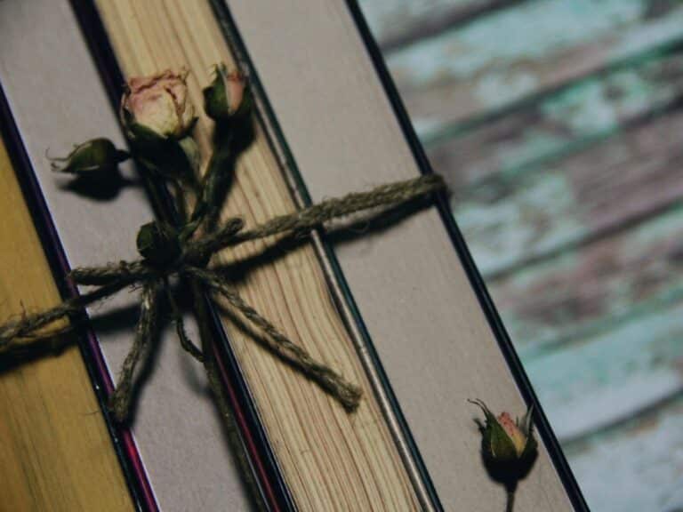 Estudiar el Holocausto en el aula a través de estos libros