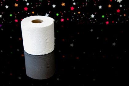 manualidades con rollos de papel higiénico