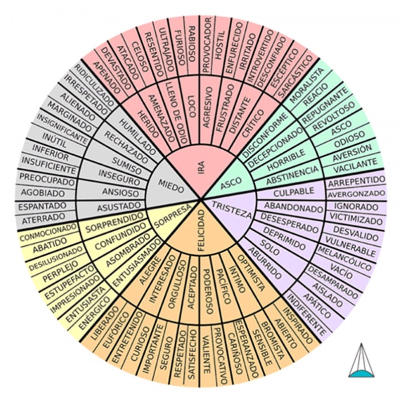  crear una rueda de emociones
