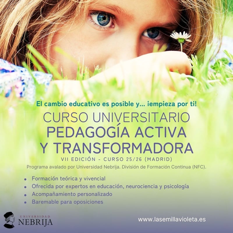 curso universitario pedagogía activa y transformadora