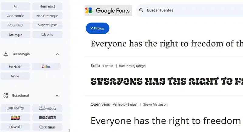 google fonts