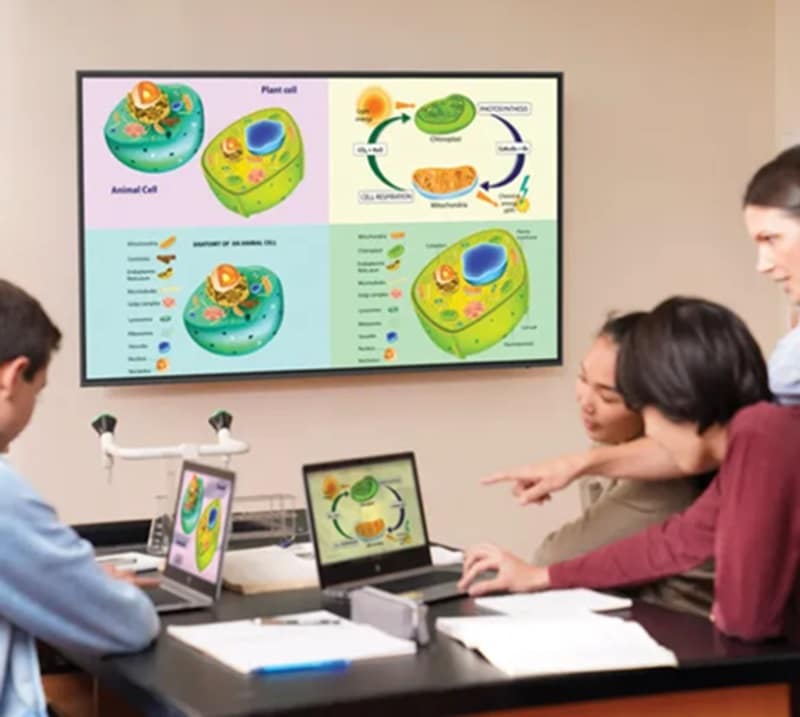 Monitores interactivos ViewSonic 