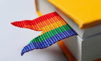 novelas LGTBI