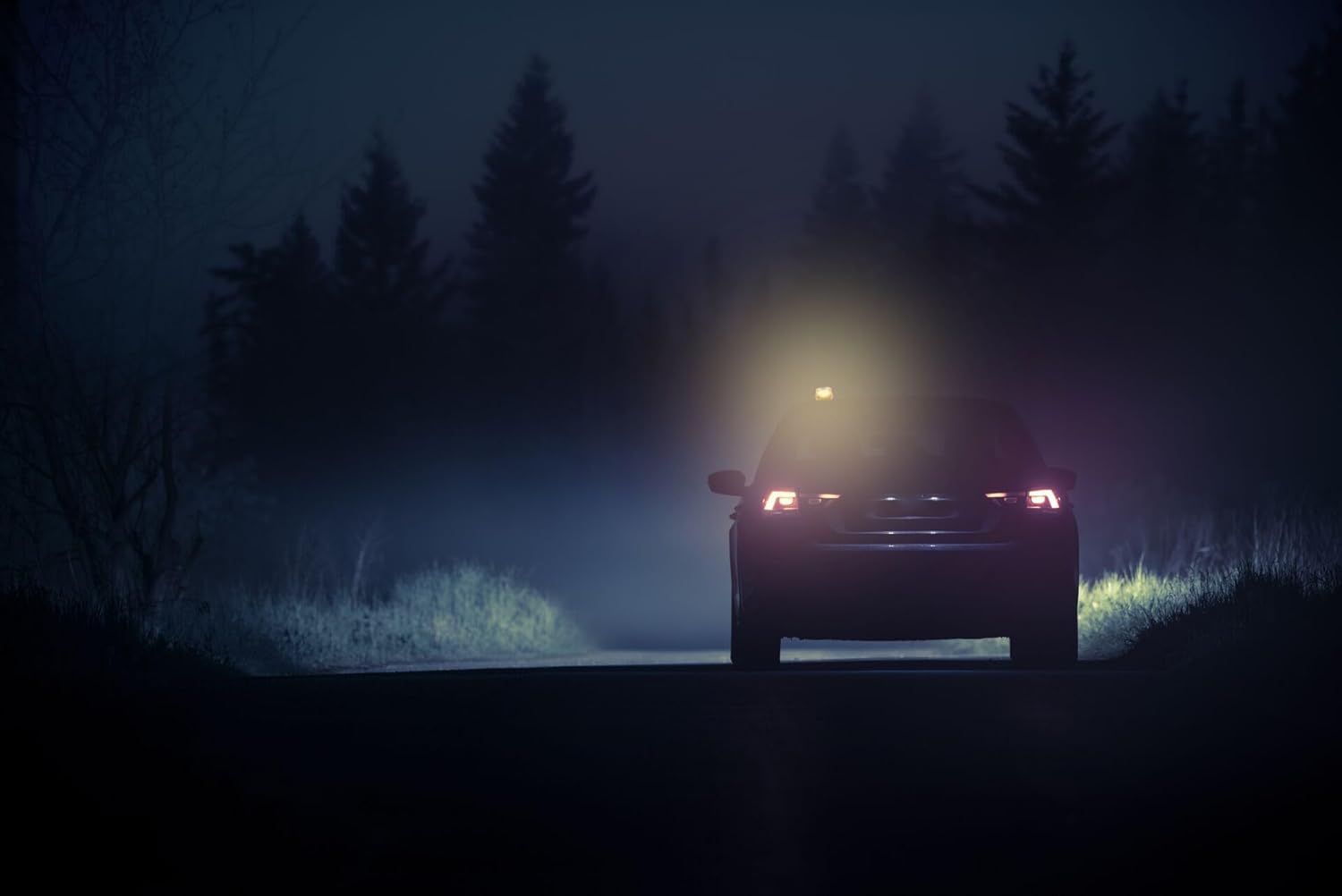 Tras revisar las principales tiendas online, estas son las balizas V-16 homologadas que recomiendo