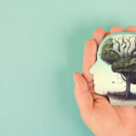 Protocolo 2026 para la salud mental en centros