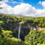 aprendizaje en la naturaleza en niños